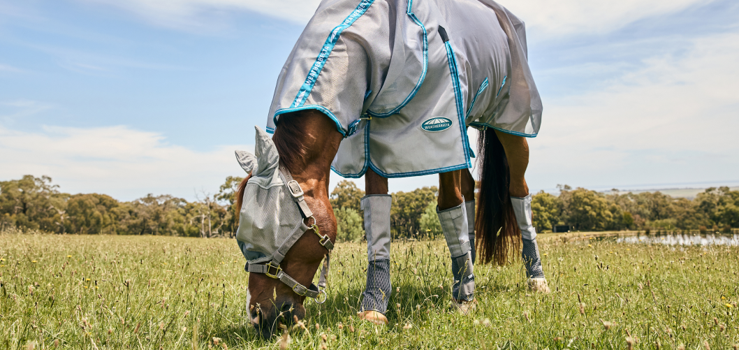 Guide to Horse Fly Prevention for UK Equestrians