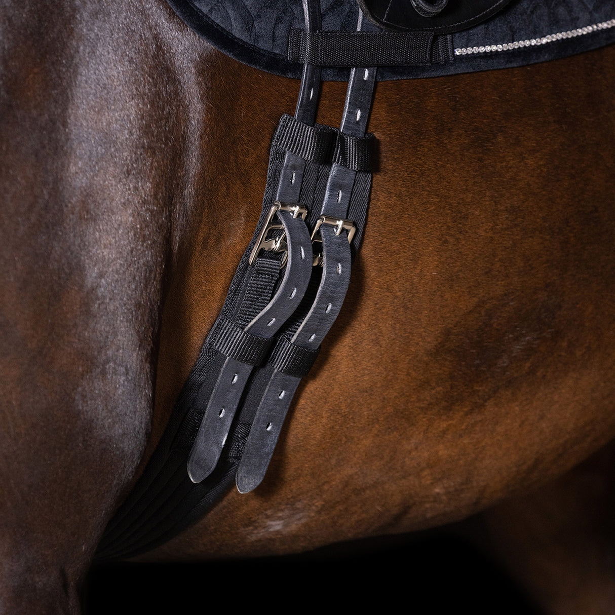 Imperial Riding Core Dressage Girth #colour_black