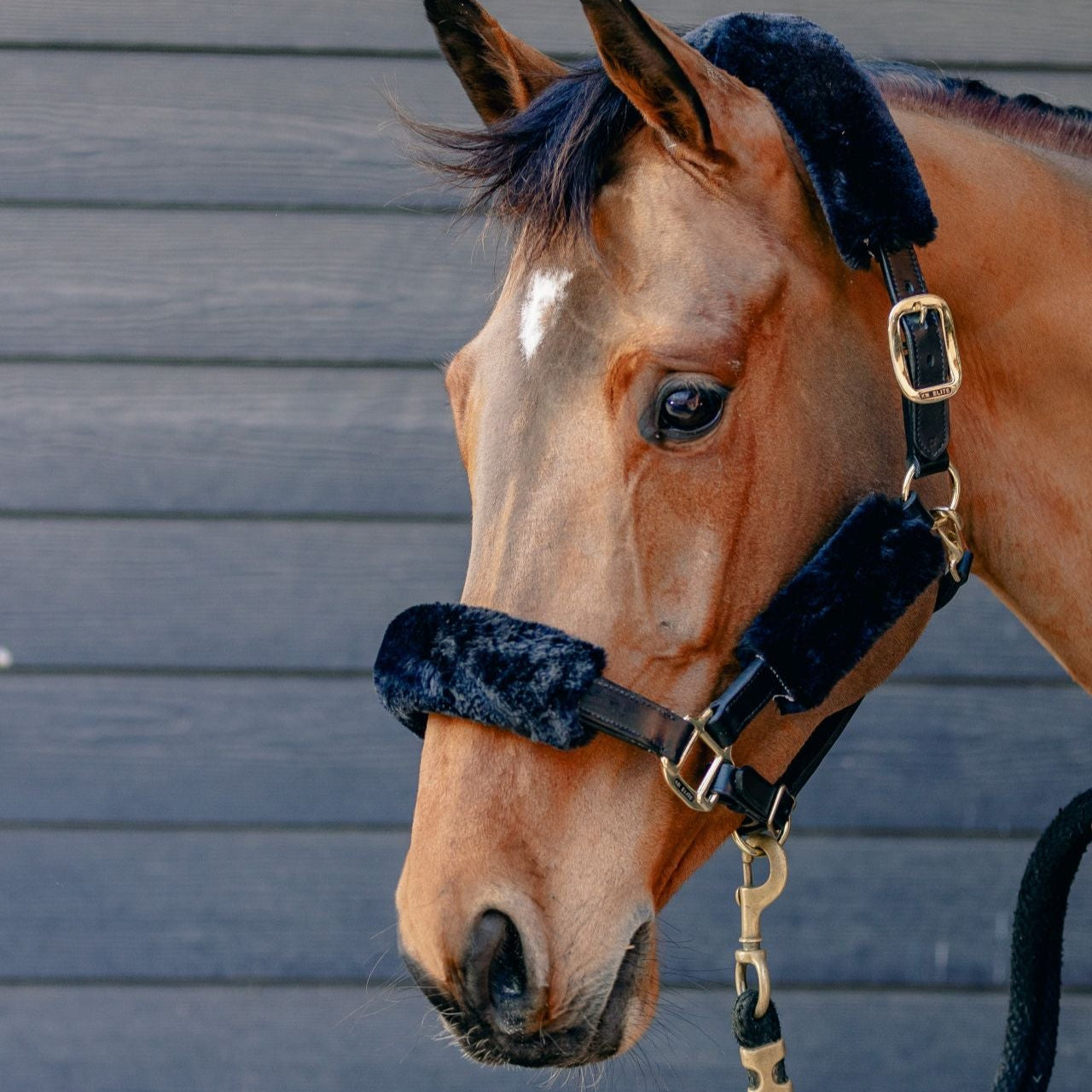 KM Elite Teddy Soft Headstall Set #colour_mocha