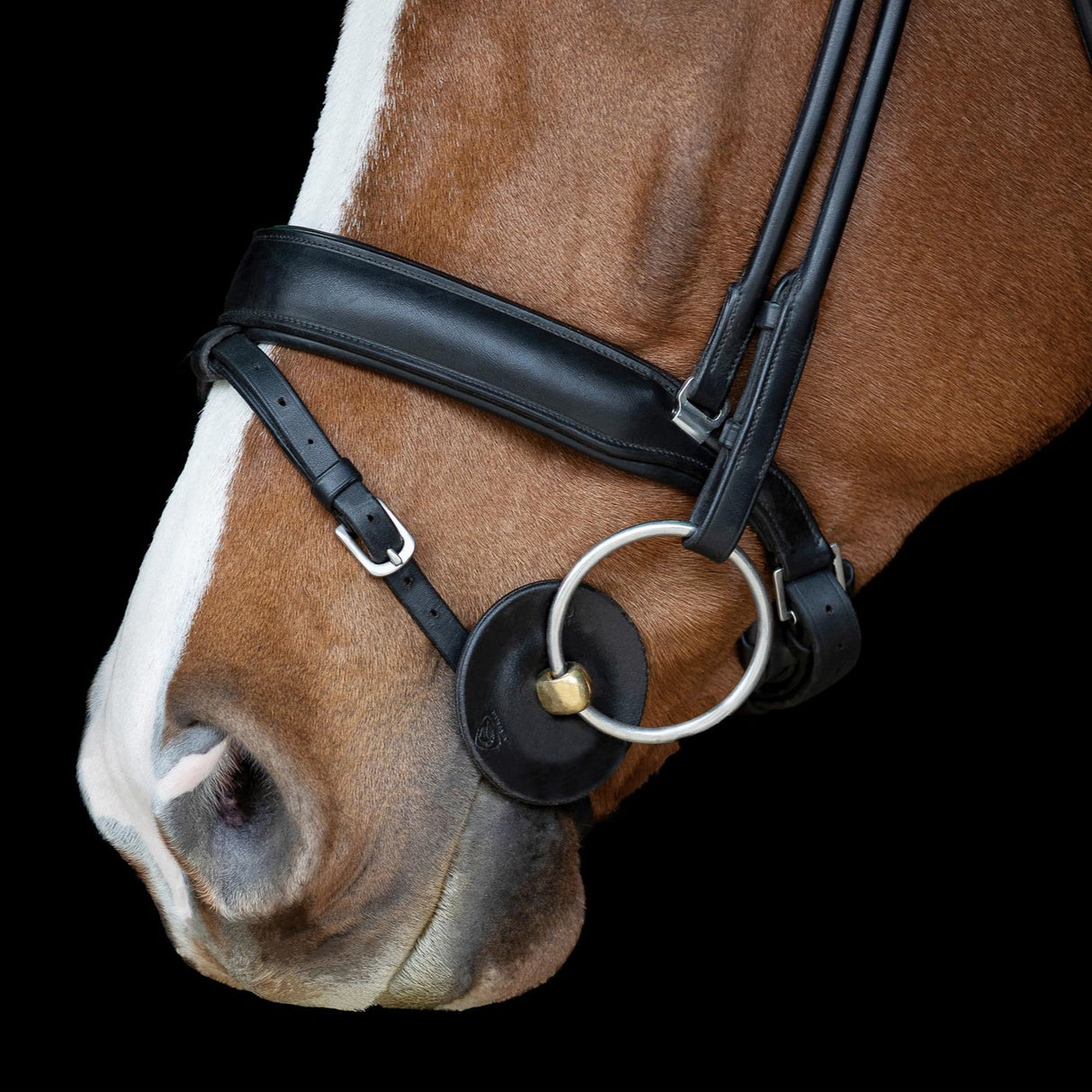 Acavallo Contour Bit Guards Pair #colour_black