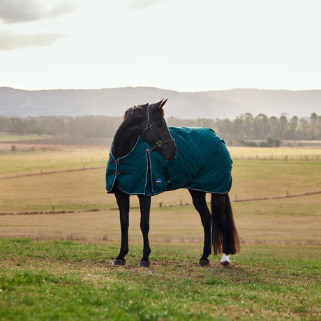 Weatherbeeta Comfitec Classic 50G Turnout #colour_forest-green-black