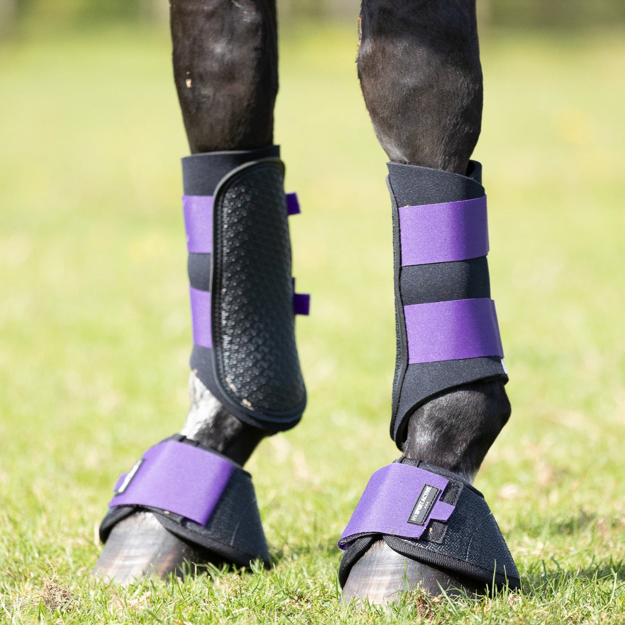 Hy Sport Active Brushing Boots #colour_royal-violet