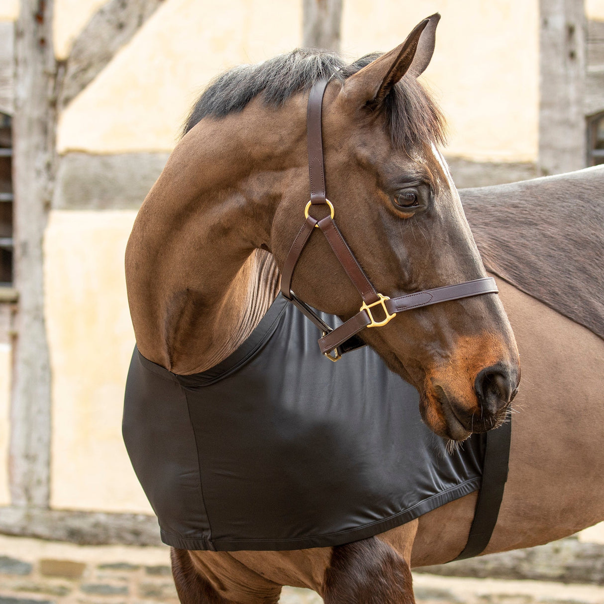 Shires Anti-Rub Stretchvest
