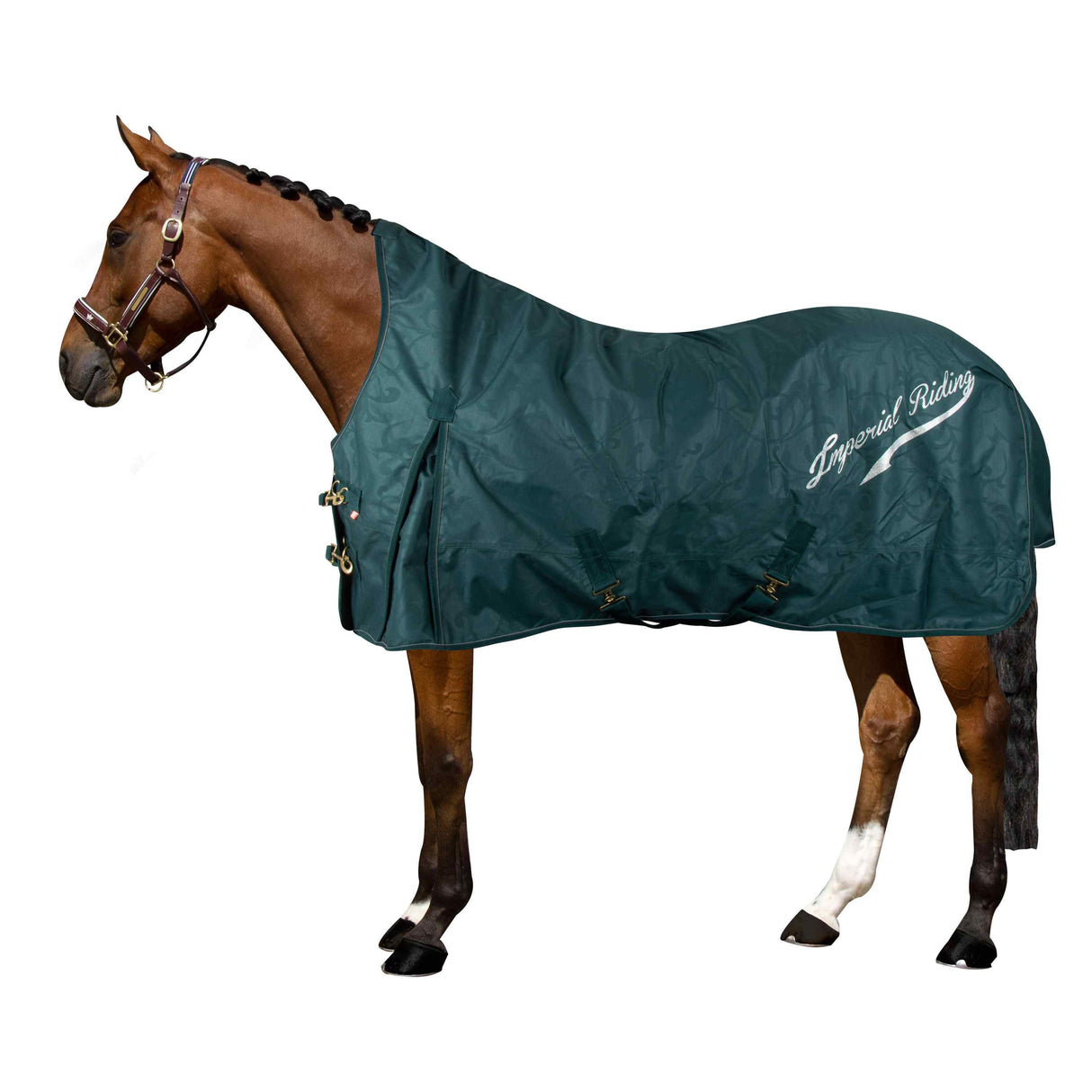 Imperial Riding Super-Dry 50g Turnout Rug #colour_forest-green