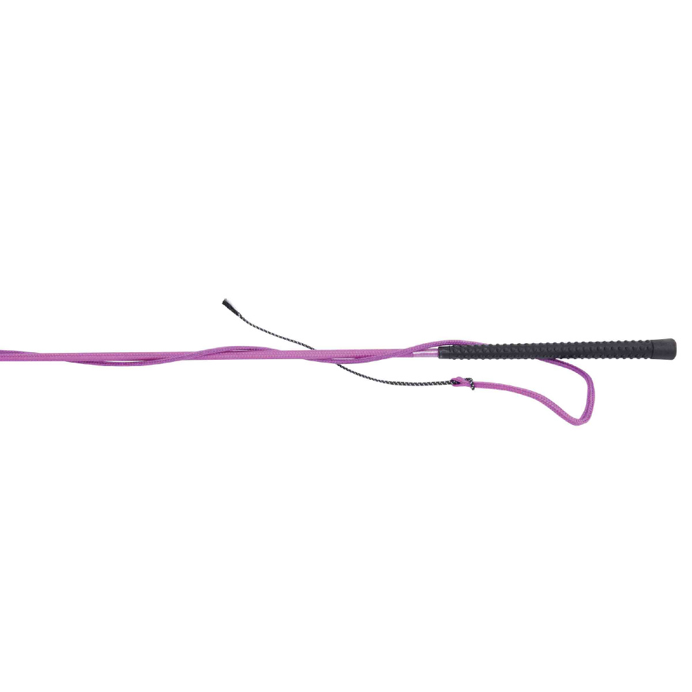 Dublin Lunge Whip #colour_purple