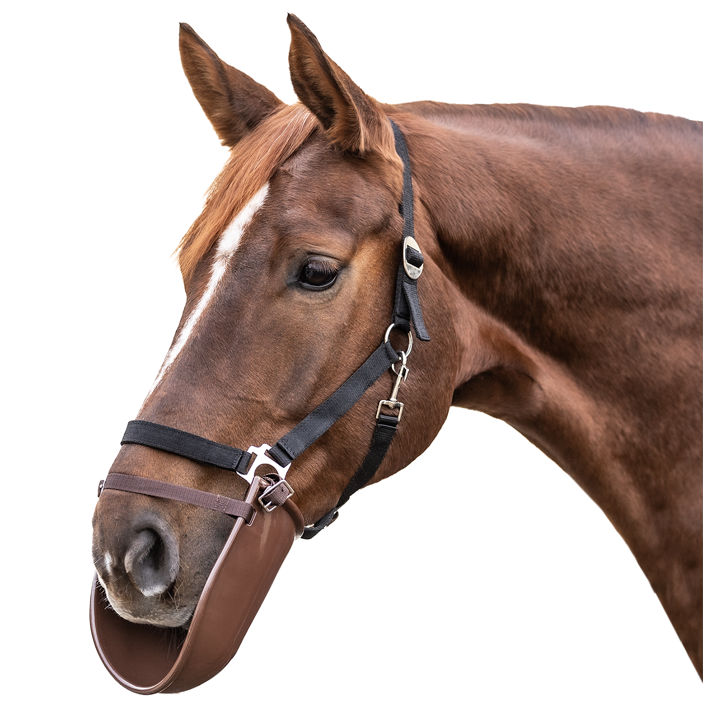 Waldhausen Plastic Clothing Bib #colour_beige