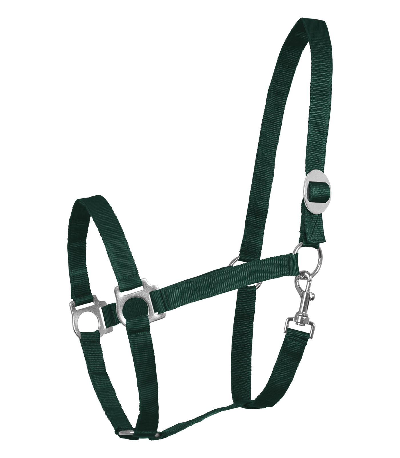 Waldhausen Perlon Halter #colour_fir green