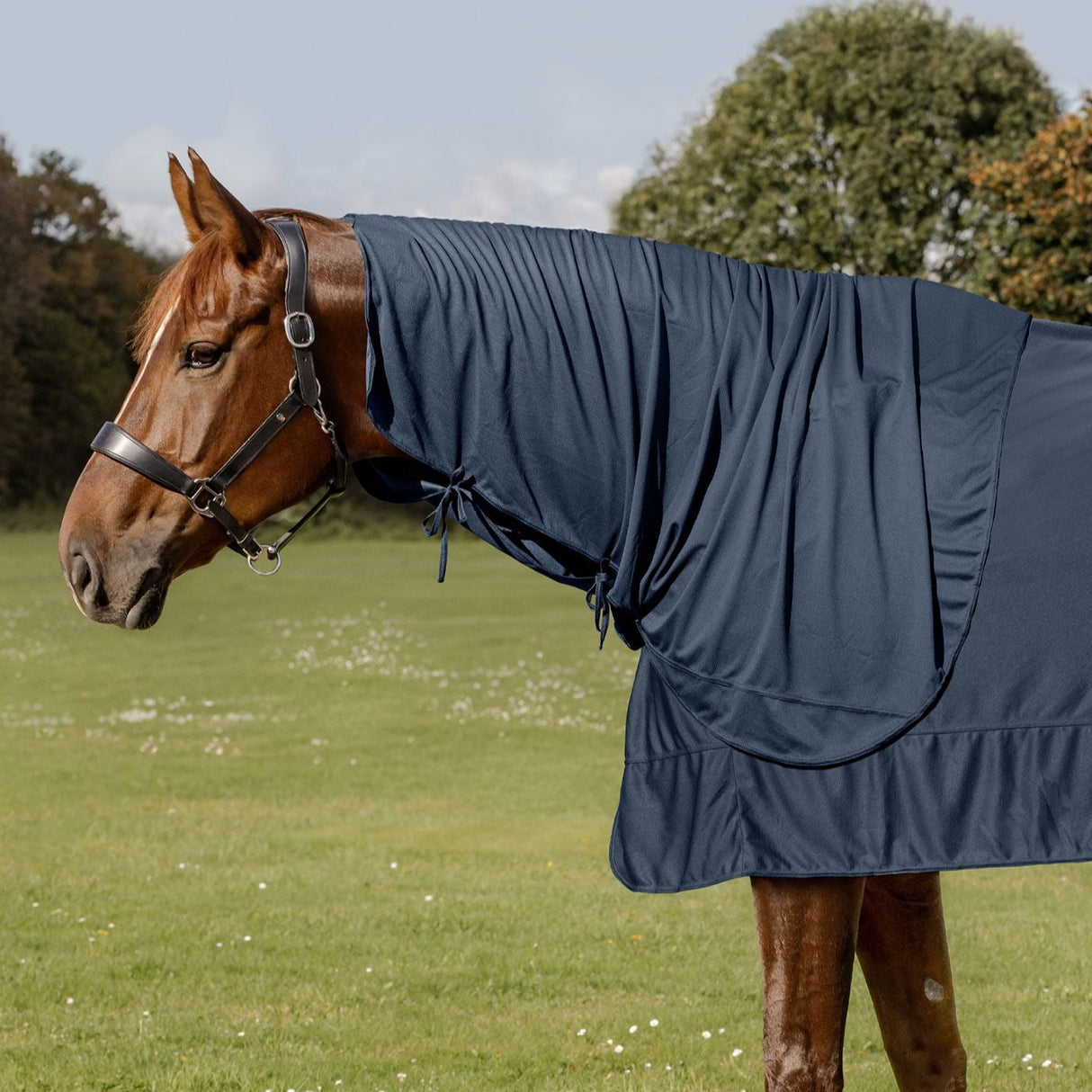 Waldhausen Health & Care Ice Layer Neck Part #colour_night-blue