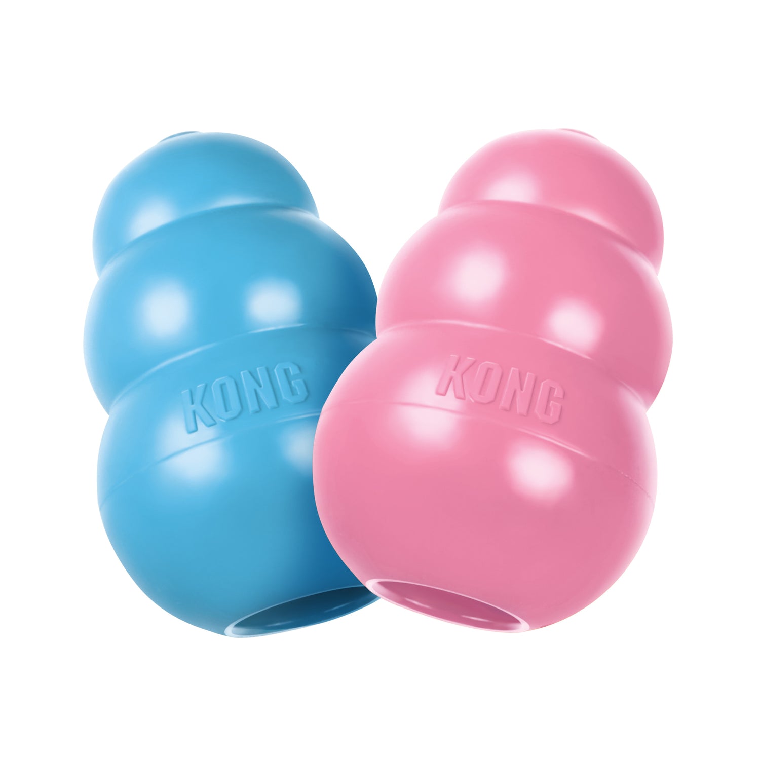 Kong hvalp