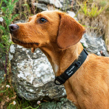 Mountain Paws Extra Tough Dog Collar #colour_camo