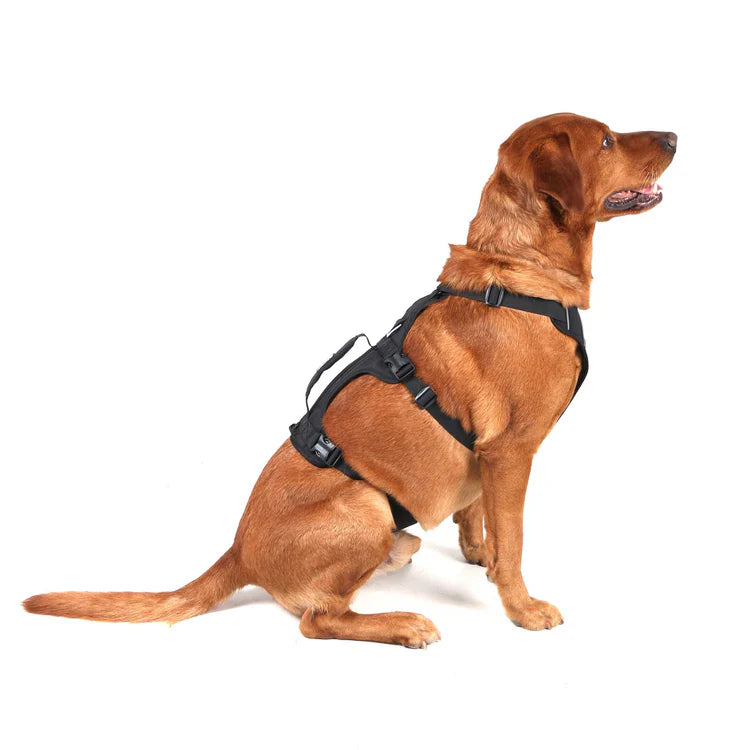 Mountain Paws 3-Strap Dog Harness #colour_black