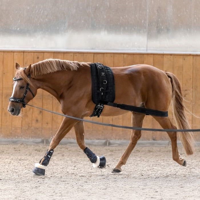 Waldhausen Body Bandage #colour_black