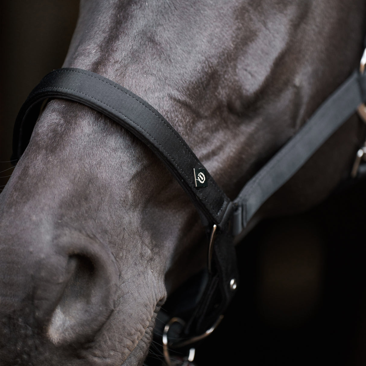 Imperial Riding Rebel Headcollar #colour_black