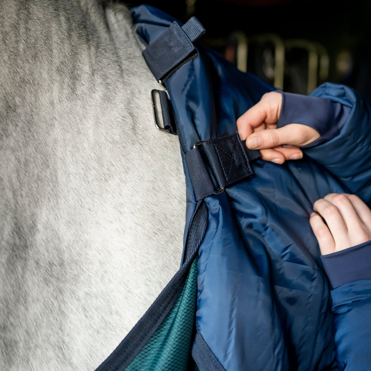 Horseware Ireland Amigo Ripstop Insulator 350g Stable Rug #colour_dynasty-green-navy-silver