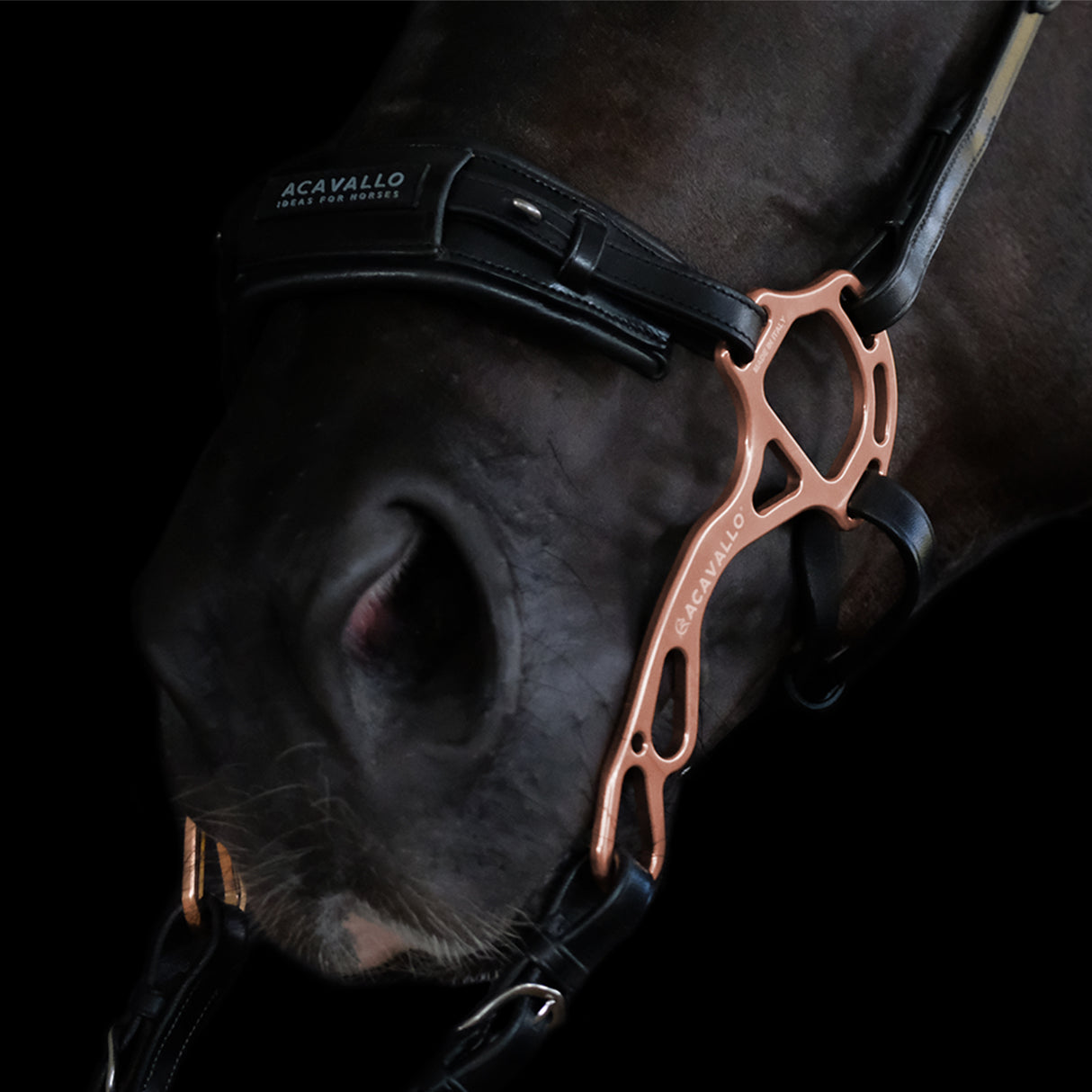 Acavallo Hackamore Noseband Calfskin #colour_black