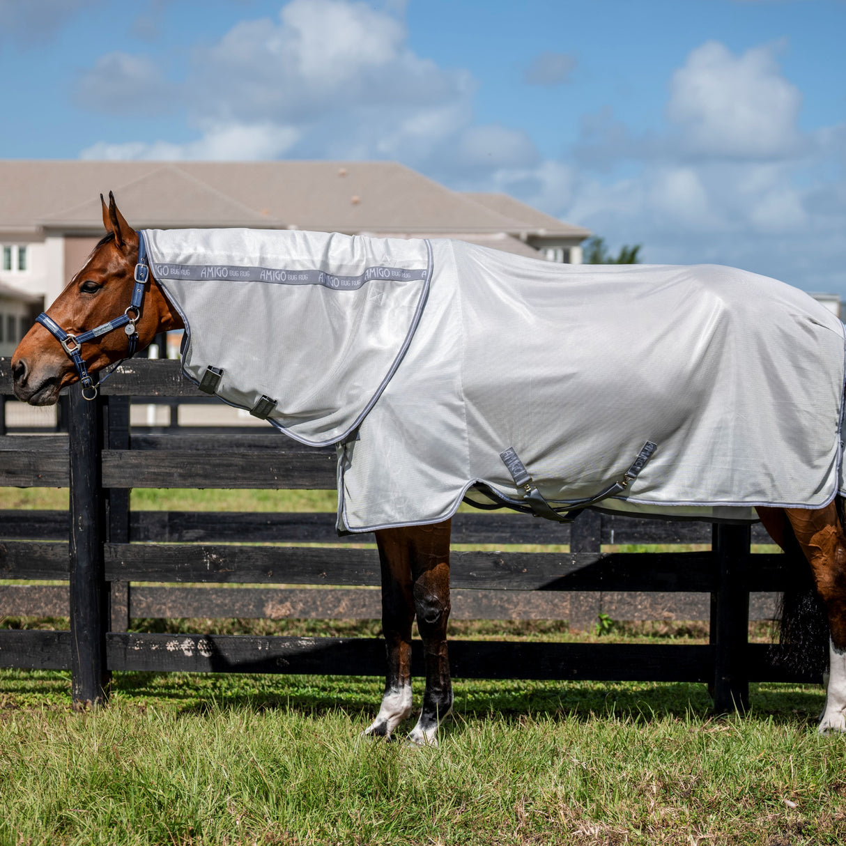 Horseware Ireland Amigo Bug Rug XL Plus #colour_silver-titanium-grey-silver