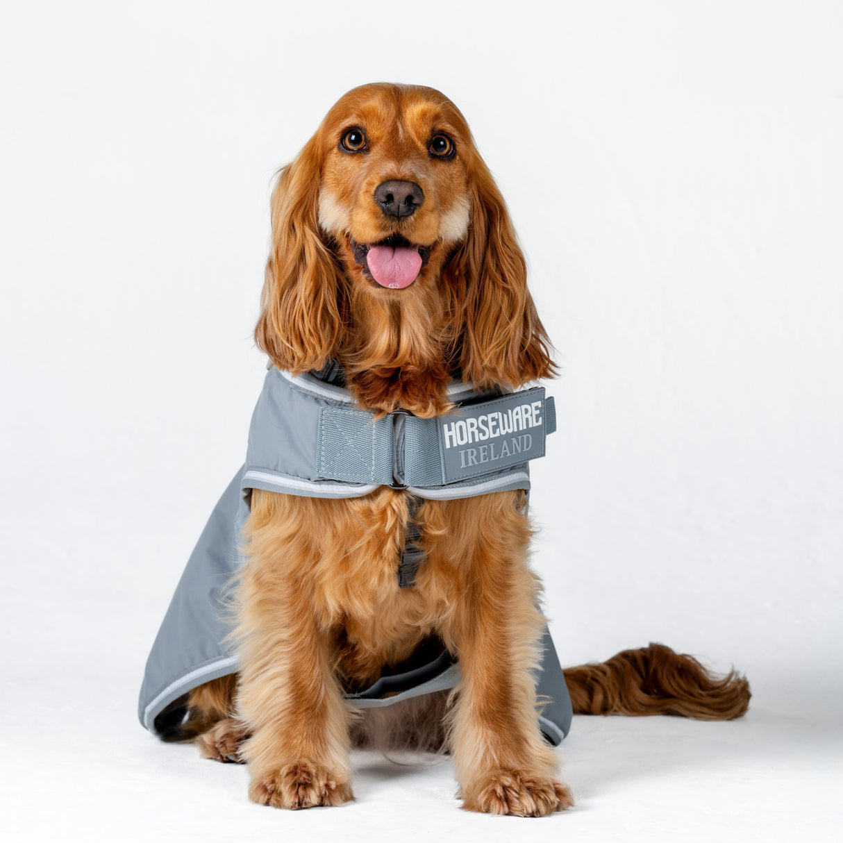 Horseware Ireland Newmarket Dog Coat #colour_witney-charcoal