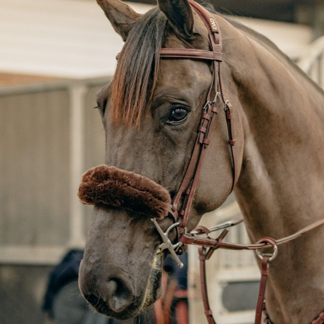 KM Elite Teddy Soft Noseband #colour_mocha