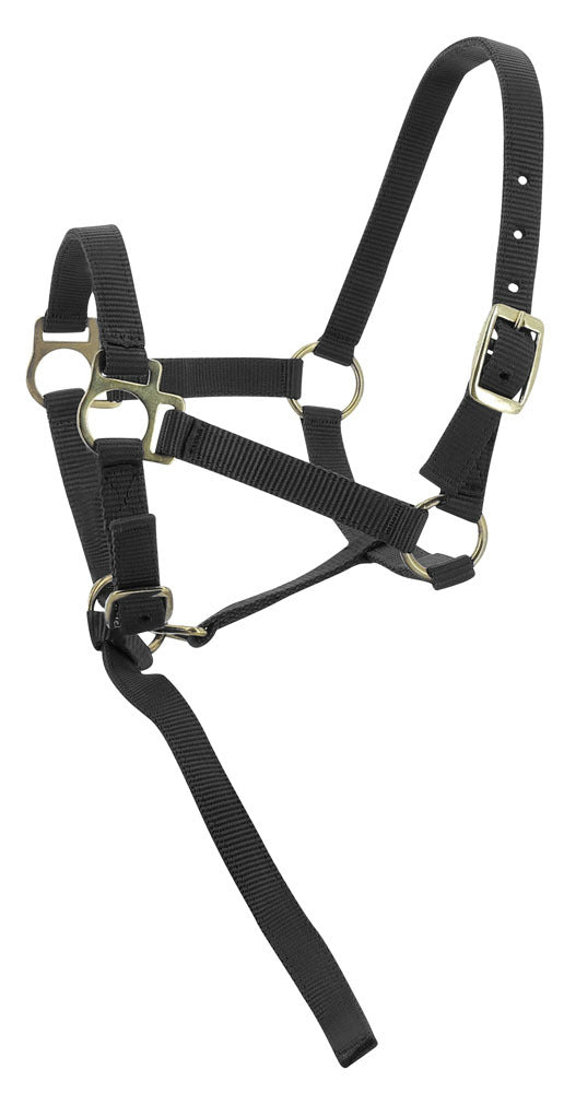 Norton Foal Headcollar Lead Rope