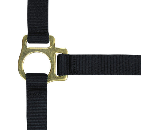 Norton Foal Headcollar Lead Rope