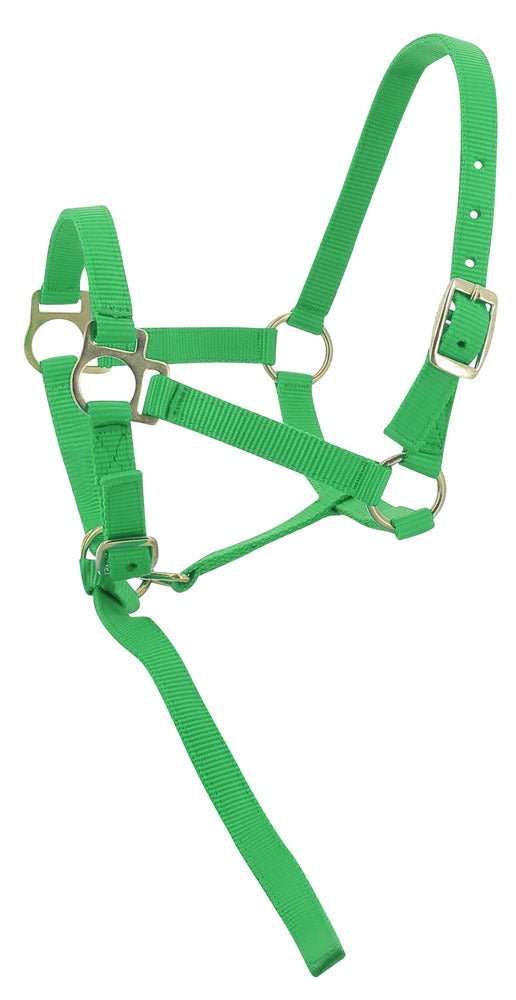 Norton Foal Headcollar Lead Rope