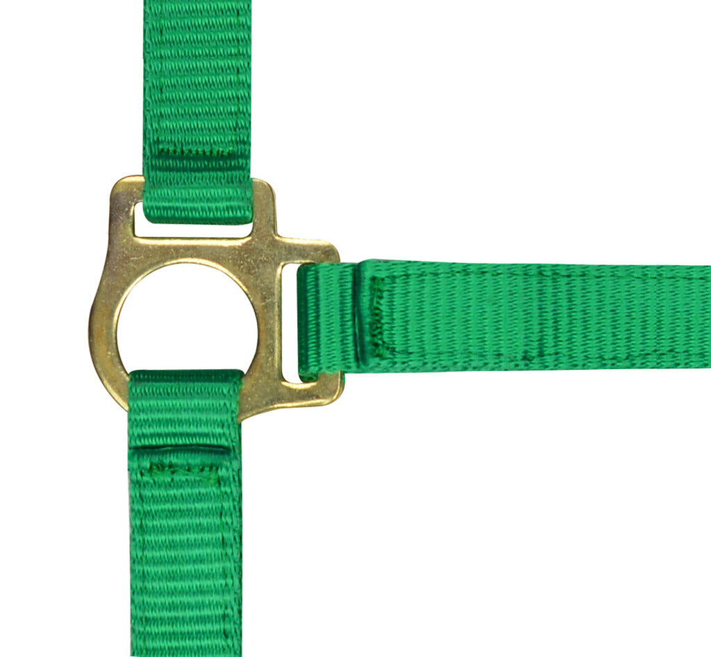 Norton Foal Headcollar Lead Rope