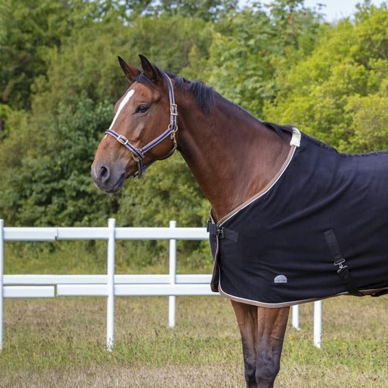 Equitheme Polyfun Headcollar #colour_navy