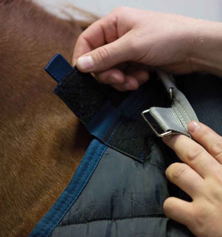 Horseware Irlande Doublure 200g