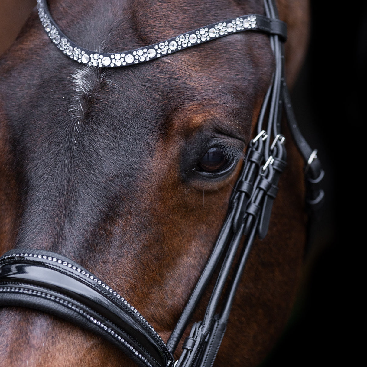 Imperial Riding Olympia Weymouth Bridle #colour_black-silver