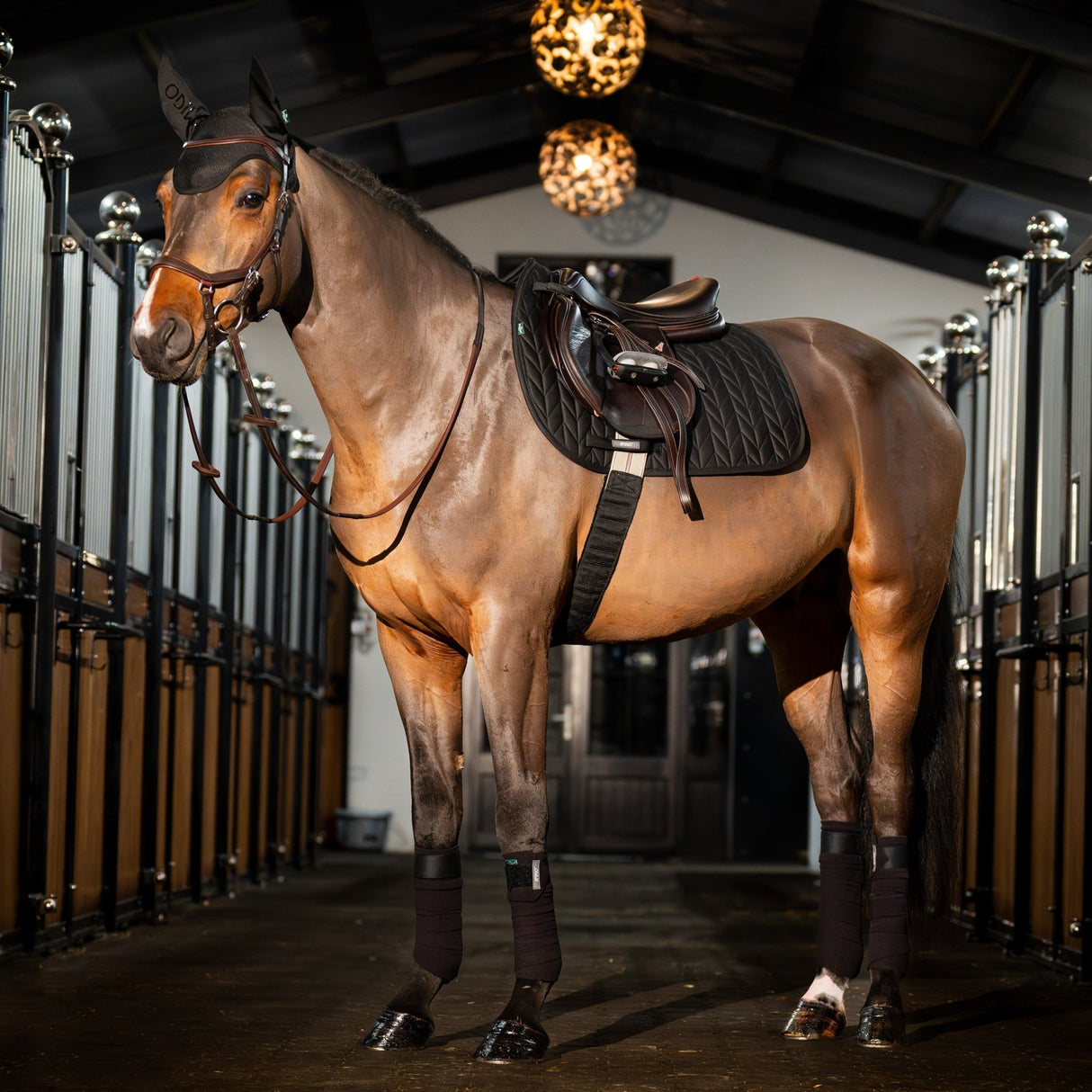 Horseware Ireland Amigo GP Saddle Pad #colour_black