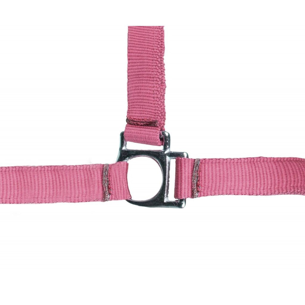 HKM Head collar -Stars Softice- with soft padding