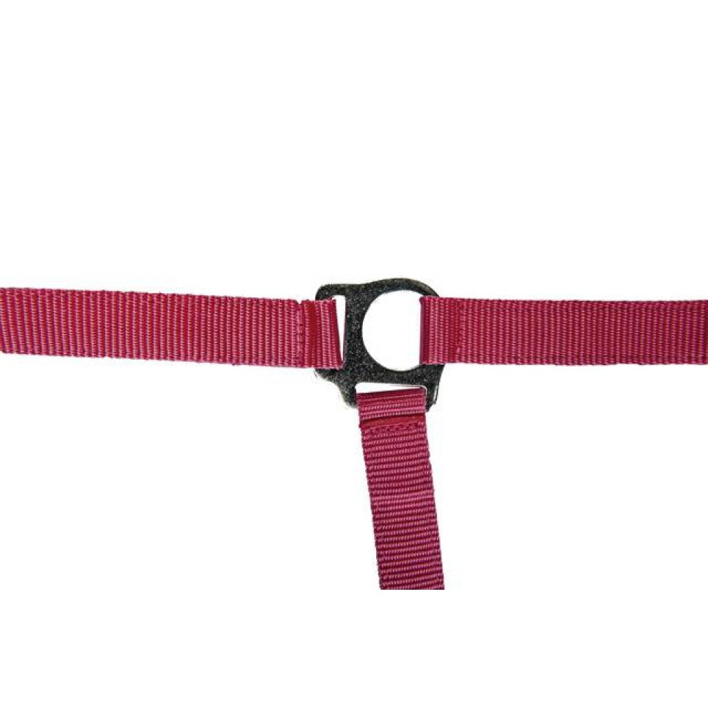 HKM Head Collar -Stars Economy Softice-