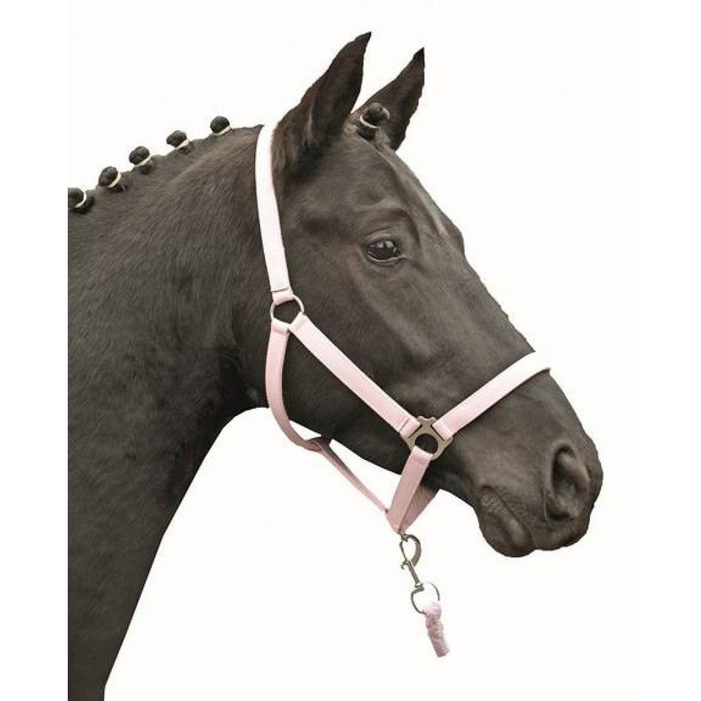 HKM Head Collar -Stars Economy Softice-