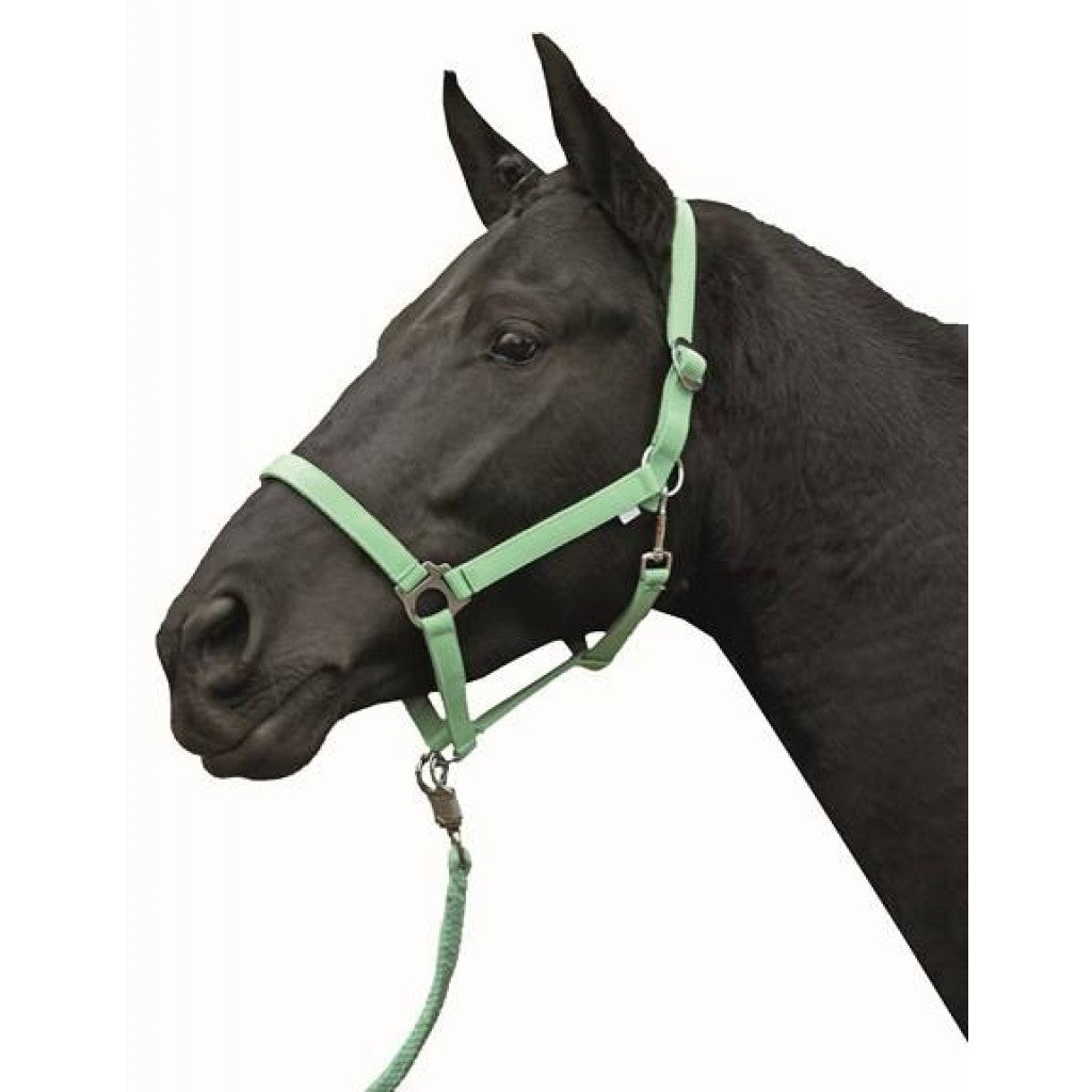 HKM Head Collar -Stars Economy Softice-