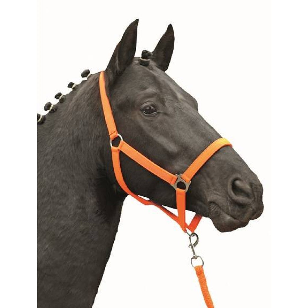 HKM Head Collar -Stars Economy Softice-