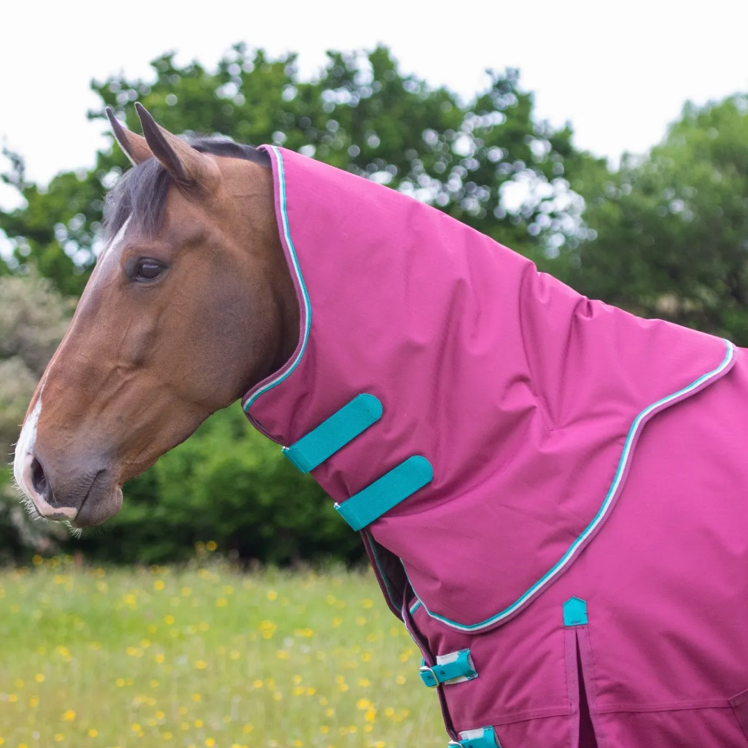 Shires Highlander Original 300g Turnout Rug & Neck #colour_raspberry