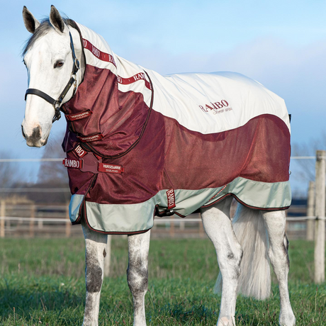 Horseware Ireland Rambo Summer Series #colour_grey-burgundy-black-burgundy