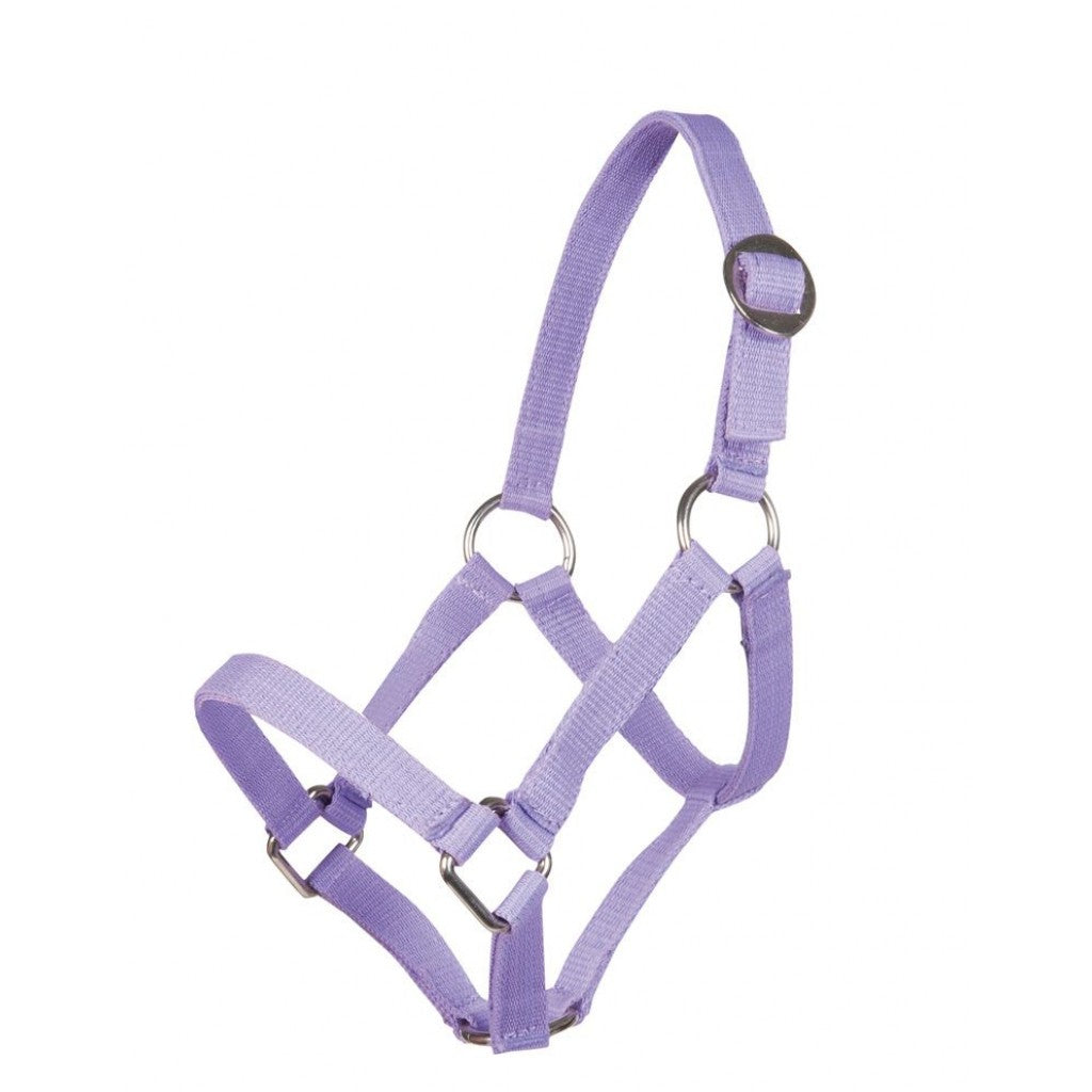 HKM Head Collar for Mini-Shetty #colour_lilac