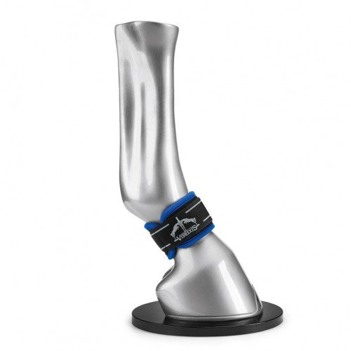 Veredus magnetik pro pastern wraps