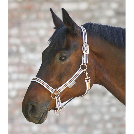 Waldhausen Rose Shine Halter
