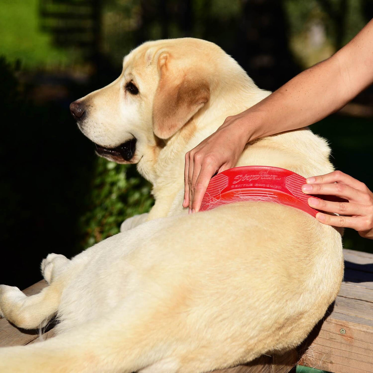 Striphair blid groomer