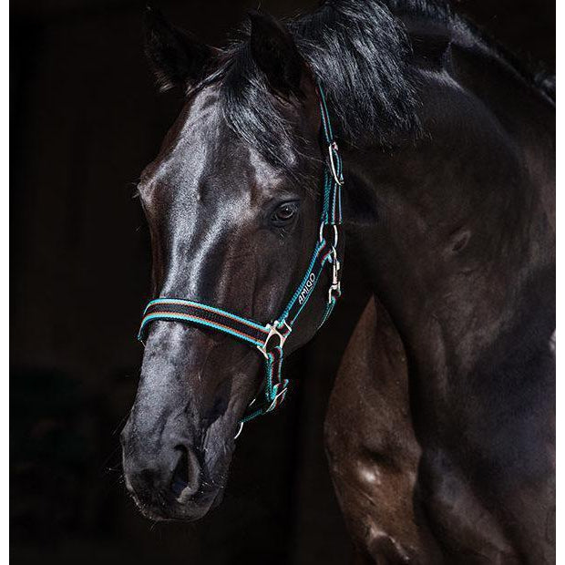 Horseware Ireland Amigo Halfter