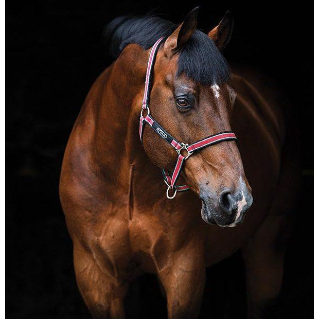 Horseware Ireland Amigo Halfter