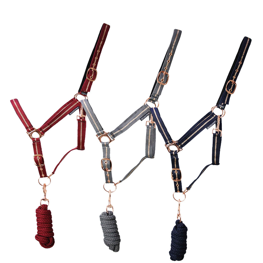 Ensemble licol et corde de plomb Hy Equestrian Rose Glitter