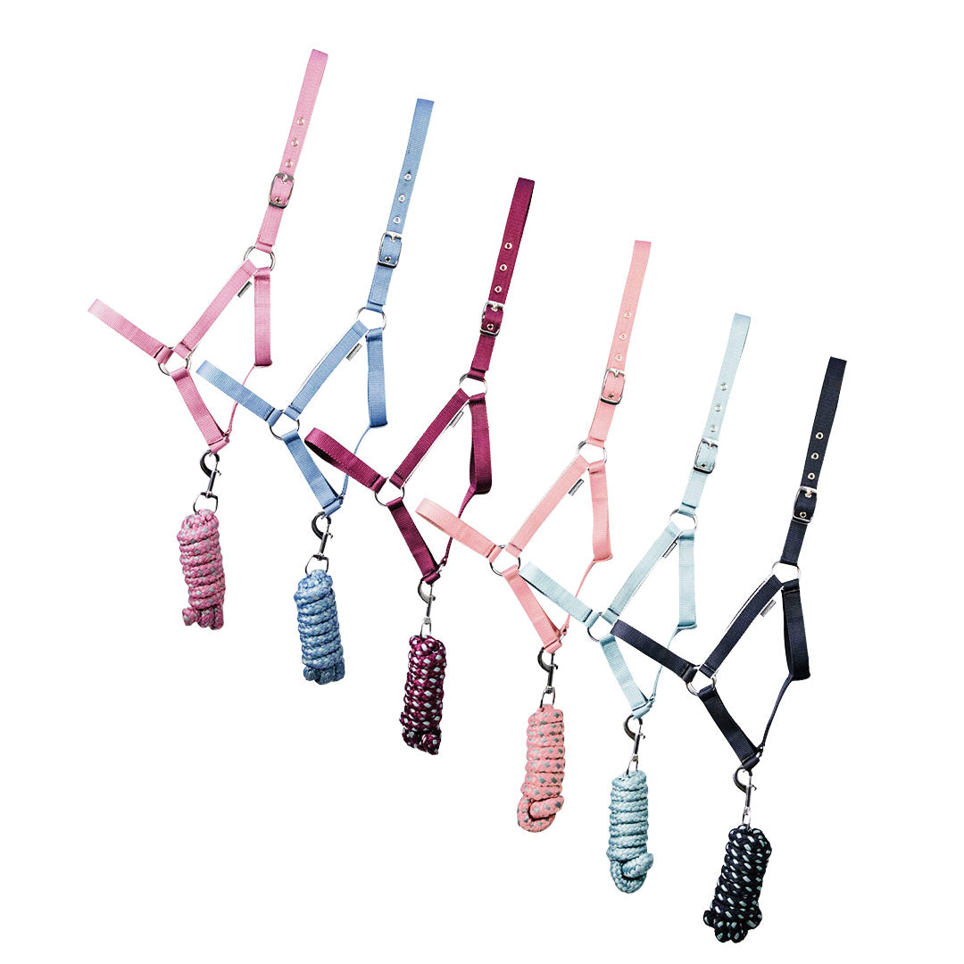 Hy Equestrian Synergy Head Collar og Lead Rope Set