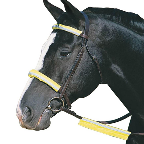 Roma Reflective Bridle Kit #colour_yellow