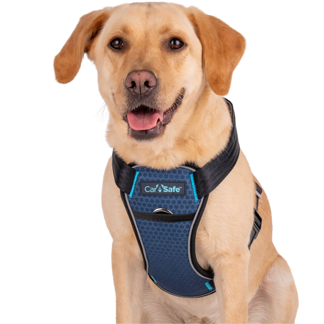 Harnais pour chien testé en cas de collision Carsafe