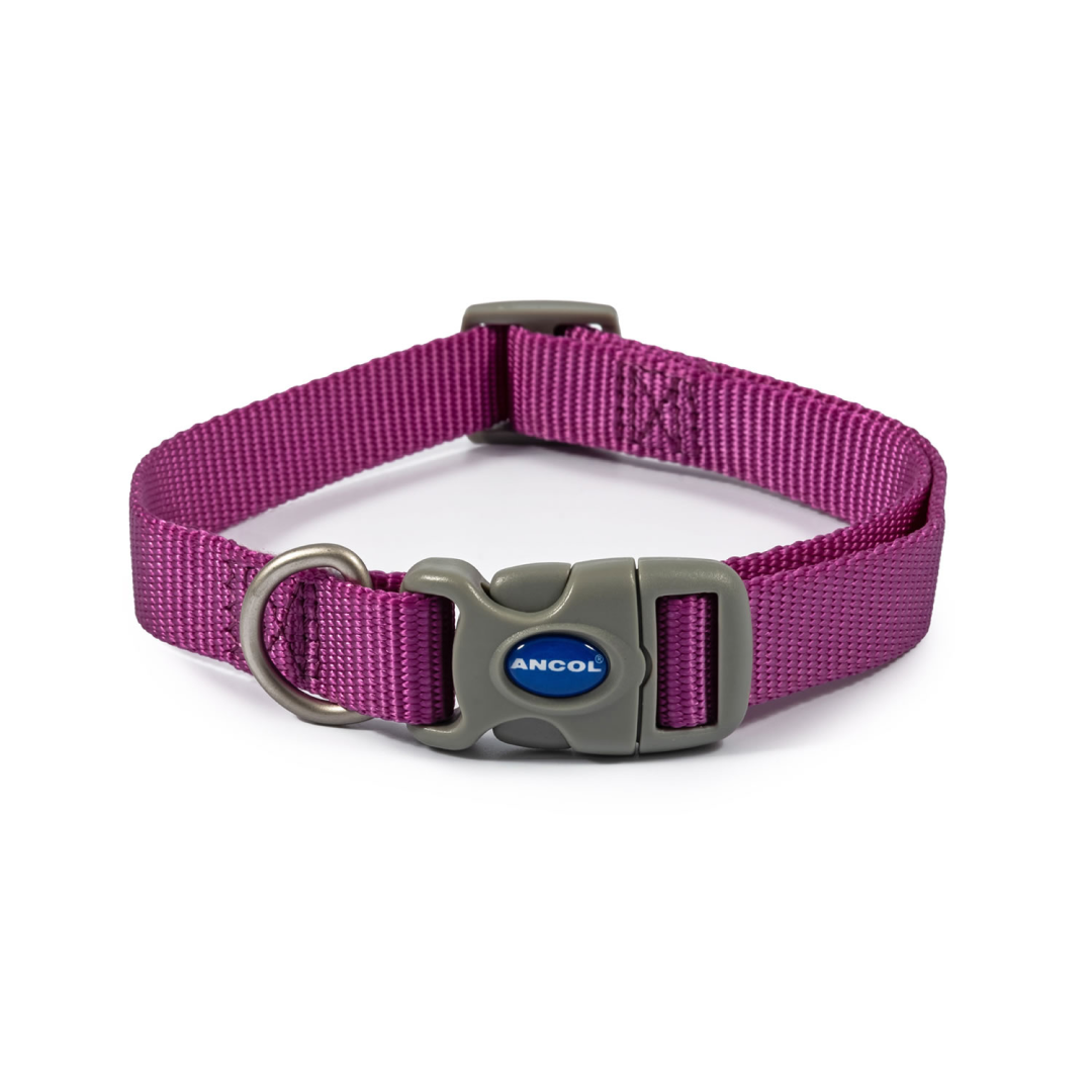 Ancol Adjustable Viva Collar #colour_purple