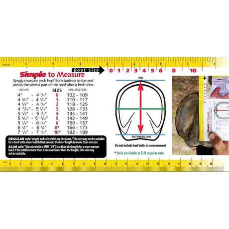 Cavallo Transport Air