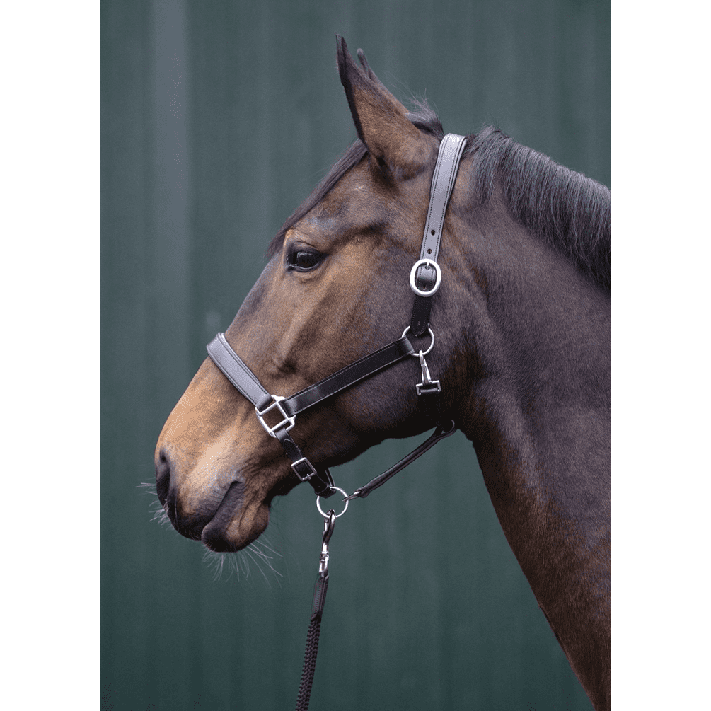 HKM Economic Leather Head Collar #colour_brown
